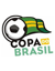 巴西杯
